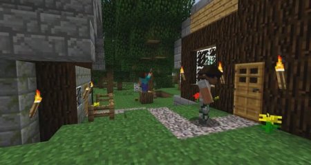   Minecraft v1.1